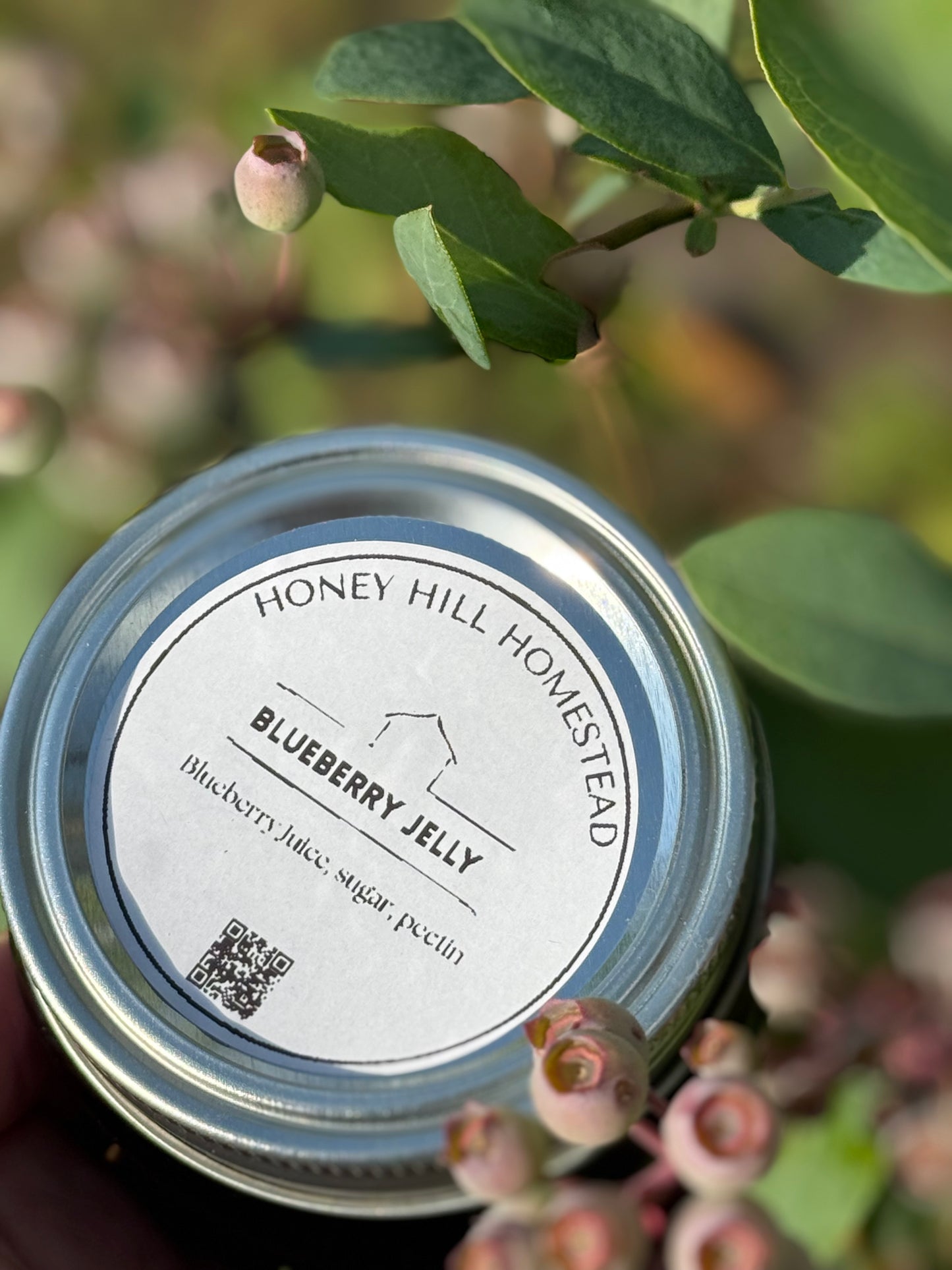 Blueberry Jelly